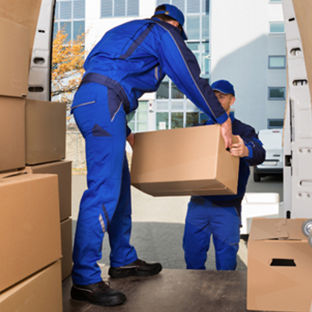 Delivery & Logistic